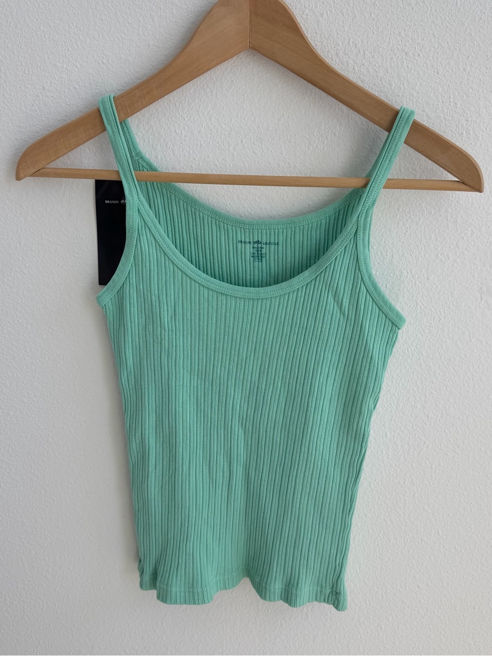 Brandy Melville Beyonca Tank Top Mint Green Ribbed NWT